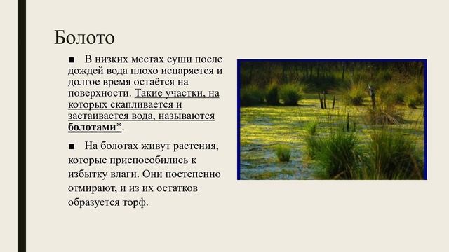 Воды суши: озера, болота, пруды, водохранилища природоведение 5 кл смотреть онлайн