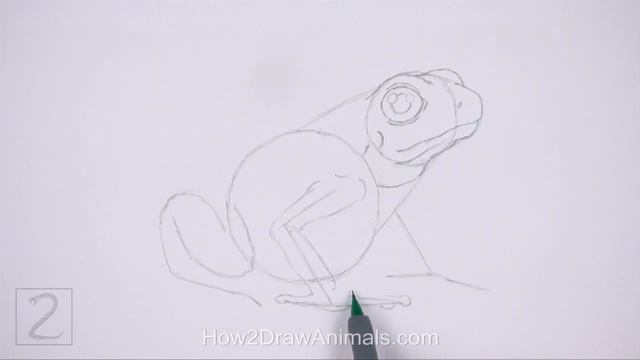 How to Draw a Frog (Poison Dart Frog) смотреть онлайн