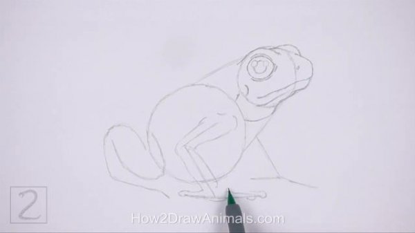 How to Draw a Frog (Poison Dart Frog)