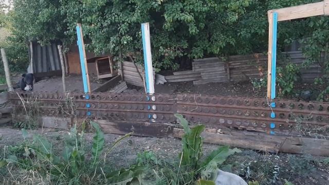ЗАЛИЛ ПОЛЫ/ВЬЕТНАМСКИЕ СВИНЬИ И БУЧ смотреть онлайн