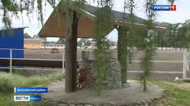 Злынский конезавод – одна из достопримечательностей Орловской области смотреть онлайн