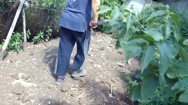 ШУРПА В КАЗАНЕ НА КОСТРЕ ИЗ ПЕТУХА ИГОРЯ. ОЧЕНЬ ВКУСНЫЙ РЕЦЕПТ! смотреть онлайн