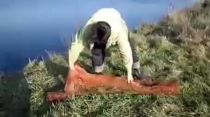 заброс кастинговой сети