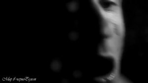 ЧЕСТЕР НЕБРО - ВЕС -