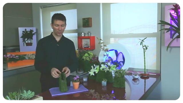 how to insert a plant in emerald moss purse смотреть онлайн