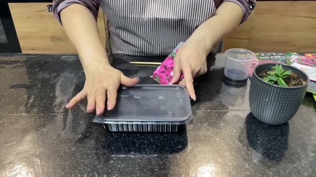 Посадка «Эустомы»? смотреть онлайн