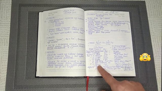 Дневник садовода огородника / Как вести и зачем он нужен смотреть онлайн