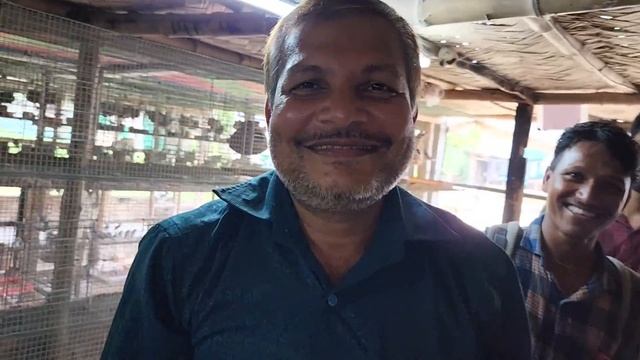 6000 Pairs Java & Finches Bird Breeding Farm / After 2 Years Julfikkar Bhai Bird Breeding Farm. смотреть онлайн