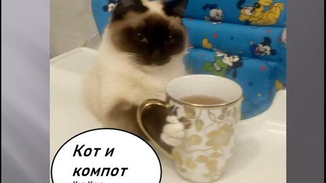 Всемирный День кошек. Мельница 2020г. смотреть онлайн
