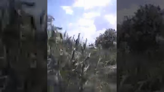 Коса 20 май 2018 . Охота за водорослями 2 часть. смотреть онлайн