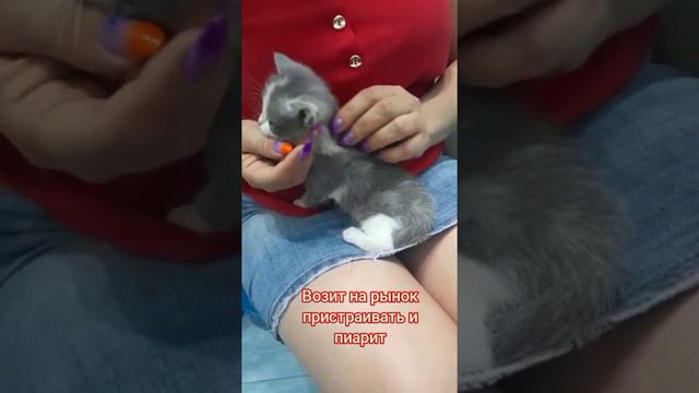 Что прячет женщина в камере хранения смотреть онлайн