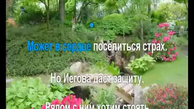 48 Каждый день ходим с Иеговой mpeg2video смотреть онлайн