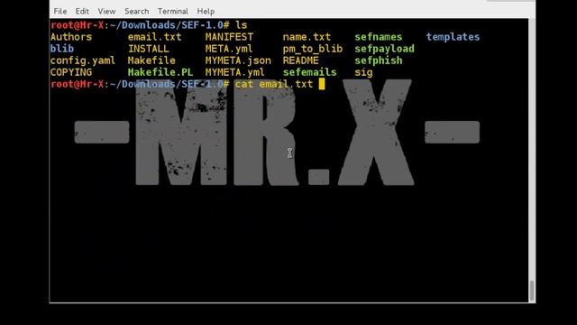 Kali Linux - The Social Engineering Framework смотреть онлайн