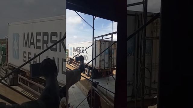 Dock Shelter & Sectional Door