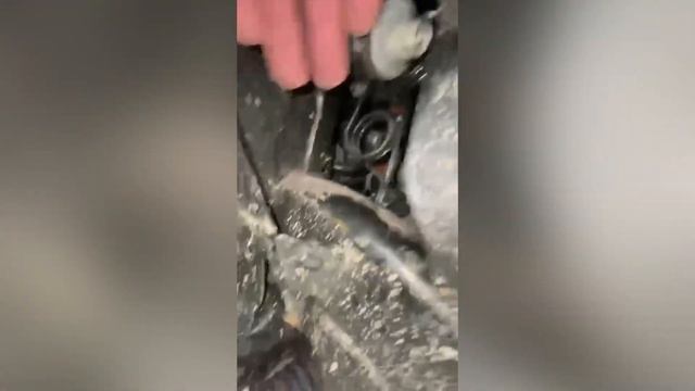 Номер двигателя Kia Mohave 2021 г.(Киа Мохав) смотреть онлайн