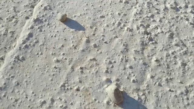 Опалубка в Сербии. смотреть онлайн
