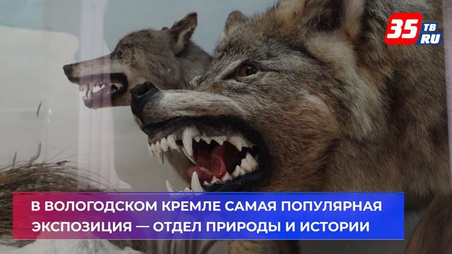 Посетить вологодские музеи сегодня можно бесплатно смотреть онлайн