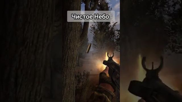 Какое сравнение делать дальше ? #сталкер