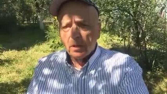 Гелати смотреть онлайн