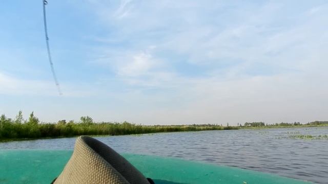 Июльский окунь смотреть онлайн