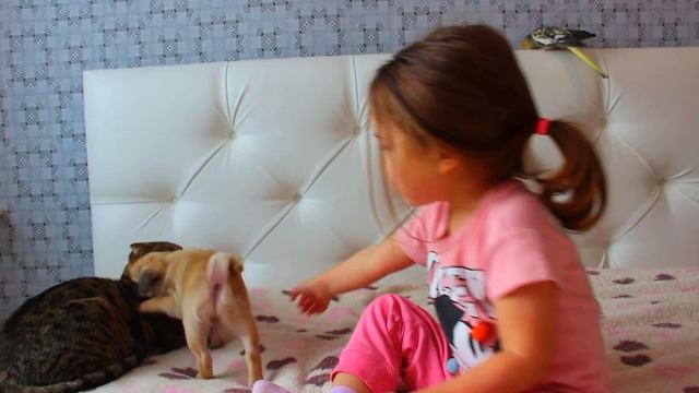 Знакомство со мной. Угадай, в каком городе я живу! смотреть онлайн