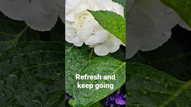 Refresh and keep going! смотреть онлайн