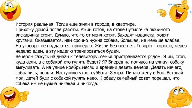 Анекдот про желание семьи завести собаку смотреть онлайн
