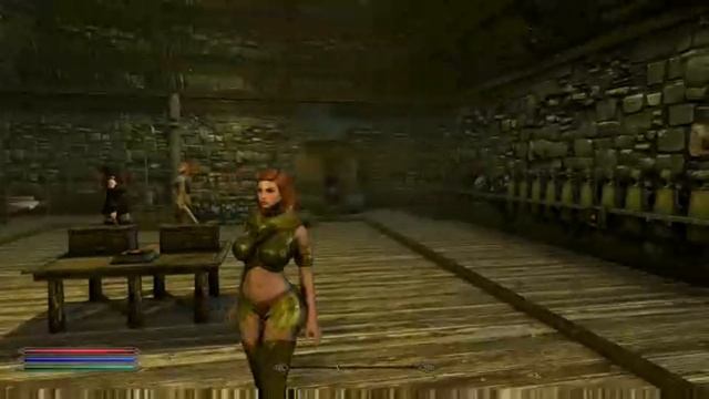 Skyrim SE (mods) - Testra - Mod Overview #14 смотреть онлайн