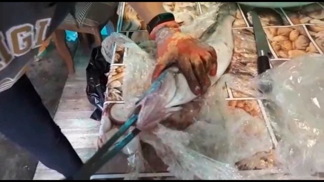 Готовка на Открытом Огне