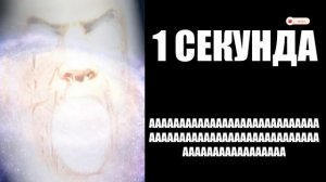 До Лета Осталось КОВЕР COVER