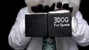 Furry Asmr