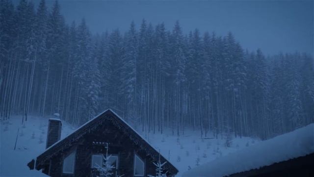 АО «НПФ «Сургутнефтегаз» - Тёплый Новый год! смотреть онлайн