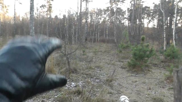 Уничтожение Крылатского леса началось. С места событий.