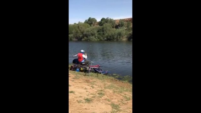 7-й чемпионат мира по ловле рыбы фидером в Португалии 2017. смотреть онлайн