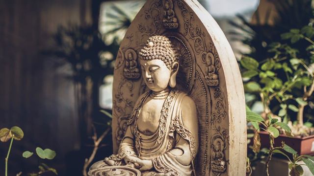 Shakuhachi Zen Meditation Music - Bamboo flute - Rodrigo Rodriguez смотреть онлайн