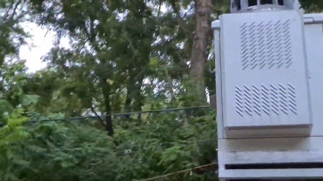 Маскировка Вышек Антенн в Парках смотреть онлайн