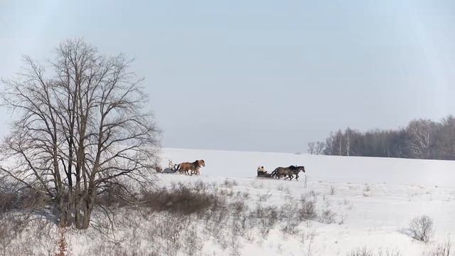 Марат Сапарбаев - бубенцы смотреть онлайн