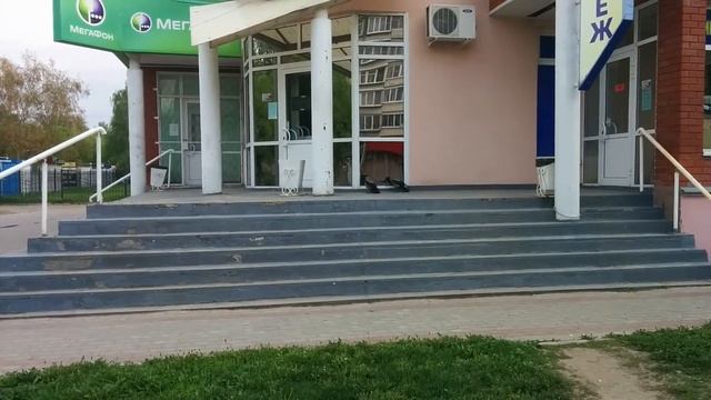 Птицы и зеркало смотреть онлайн