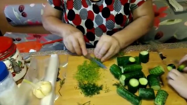 Кулинарные Каникулы