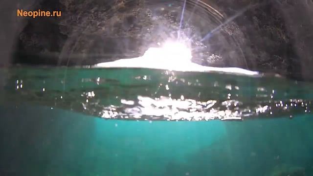 Полнолицевая маска для подводного плавания (снорклинга) NEOPINE с креплением для GoPro смотреть онлайн