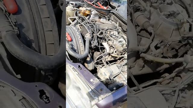 Завели Mercedes 124 m102 спустя 3 года простоя смотреть онлайн