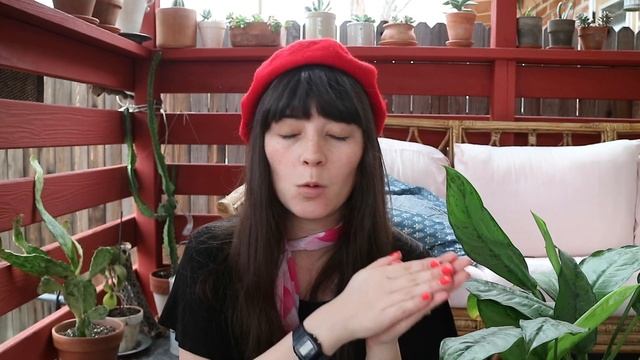 Think Your Plant is Dying? | Tips to Turn it Around смотреть онлайн