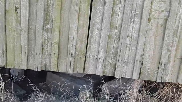 СОБЛАЗНИТЕЛЬНЫЙ КЛАД МЕЛЬНИКА! НЕОБЫЧНЫЙ КОП У МЕЛЬНИЦЫ! В Поисках Клада от Влада! смотреть онлайн