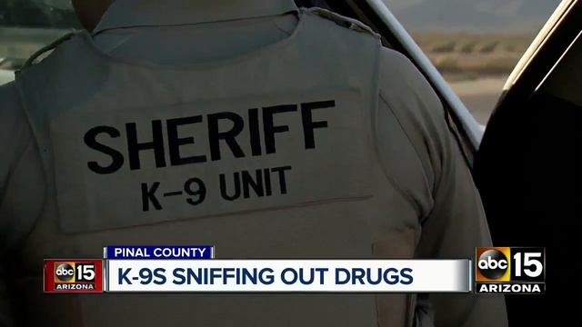 Pinal County K-9s sniffing out drugs смотреть онлайн