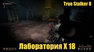 True Stalker 8 Лаборатория Х 18