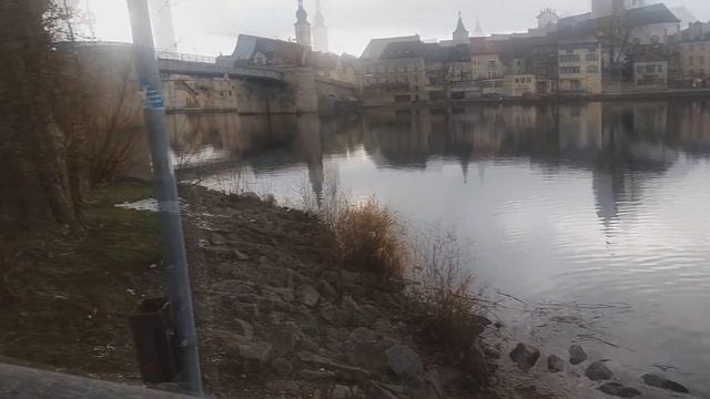 особое отношение немцев к животным/сколько стоит содержание домашних животных смотреть онлайн