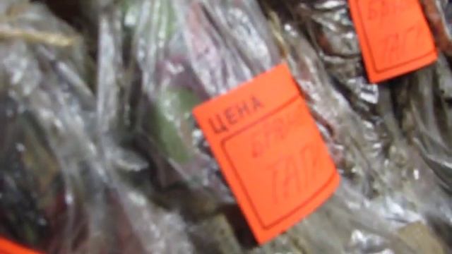 Зимняя прививка №1