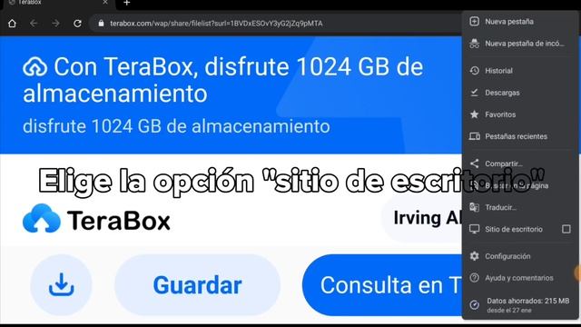 Aprende a Descargar Archivos En TeraBox Super Fácil смотреть онлайн