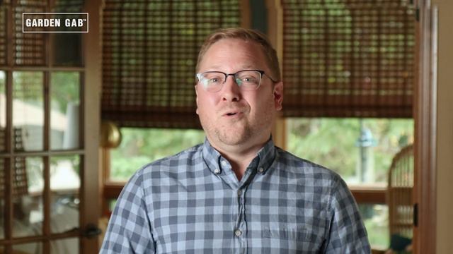 Drying Hydrangea Blooms смотреть онлайн