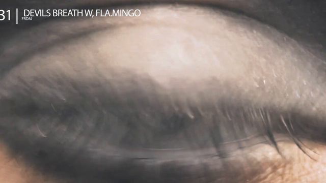frdm - devils breath w, fla.mingo смотреть онлайн